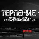 ���� �����, ���������, 64 ���� - ��������� 8 ������� 2024 � ������ ������ ��������