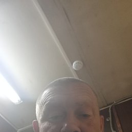 ������, 46 ���, �������