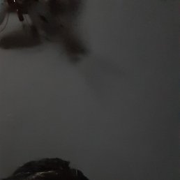 ����, ��������, 50 ���