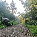 ���� ���������, ������, 37 ��� - ��������� 3 ������� 2025 � ������ ���� ����������