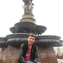 , 37,  