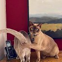 ���� ��������, ������, 31 ��� - ��������� 1 ������� 2023 � ������ ���� ����������