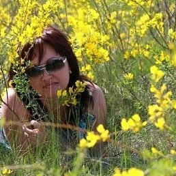 �����, �������, 49 ���