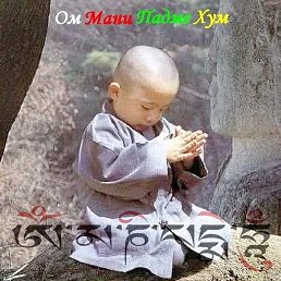 ���� ����, �����, 40 ��� - ��������� 15 ������ 2023