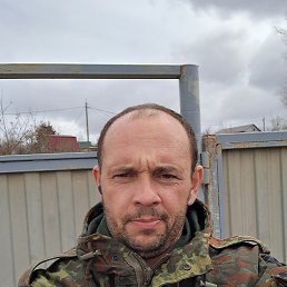 , 41 , 