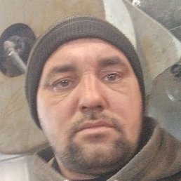 �����, ������, 43 ����