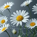 ���� ������, �������, 66 ��� - ��������� 30 ������� 2025