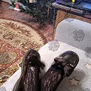 ���� Alaia, ����, 31 ��� - ��������� 1 ������ 2026 � ������ ������ ��������