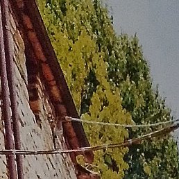 �������, ���������, 50 ���