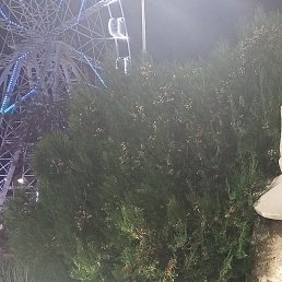 �����, ���������, 55 ���