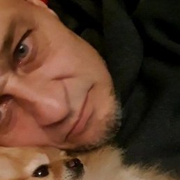 ������, ������������, 56 ���