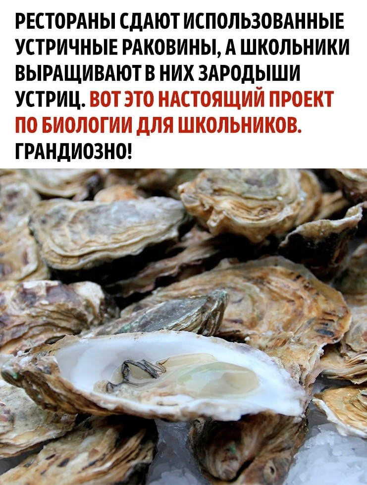    ! - 3
