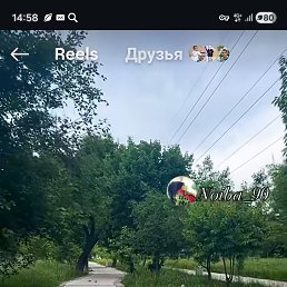 ���� �����, �����-���������, 40 ��� - ��������� 9 ��� 2026