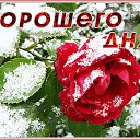 ���� �����, ������ - ��������� 18 ������� 2025 � ������ ������ ��������