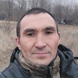 ������, �����������, 40 ���