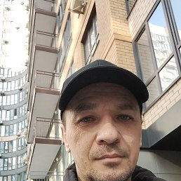 �������, 41 ���, ���������