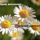���� �����., �����-���������, 61 ��� - ��������� 30 ������ 2024 � ������ ������ ��������