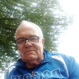 , 65 , 