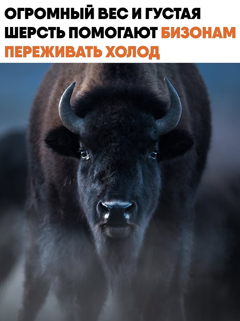 ������ ��������� ������ ������� ��������� �������������� �������� �������. �������� ����� ����� ...