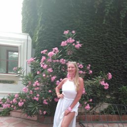 ���� ����������, ������, 27 ��� - ��������� 18 ������� 2025