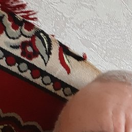 �����, �����������, 59 ���