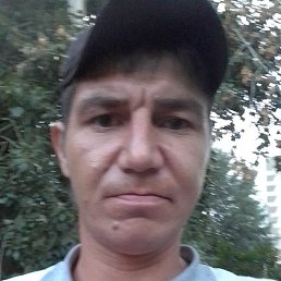 ��������, ����������, 33 ����