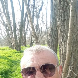 , 59, --