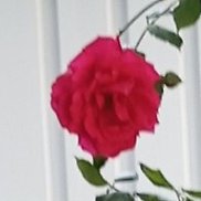 , 48 , 