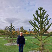 Viktor, 68 лет, Краснодар