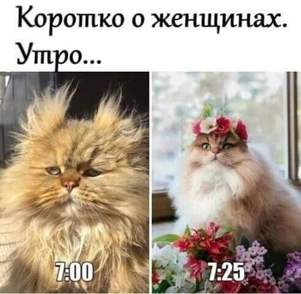   - 31  2025  12:09
