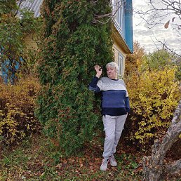 ���� ��������, ��������, 63 ���� - ��������� 31 ������ 2026