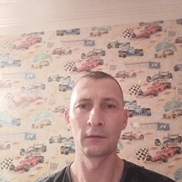 �������, �������, 41 ���