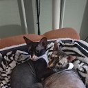 ���� �����, ������� - ��������� 13 ������ 2025 � ������ ������ ��������