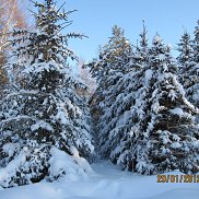 ��������, 57 ���, ������