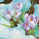 ���� Galina, �����-���������, 58 ��� - ��������� 15 ������� 2026