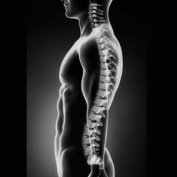 �������, ���, 38 ���