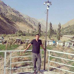 ����, ����������, 33 ����