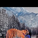 ���� �������, ���� - ��������� 13 ������� 2024 � ������ ���� ����������