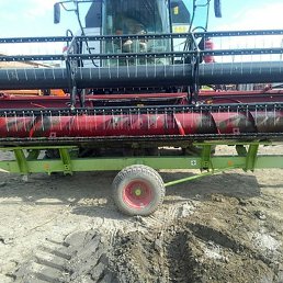 ���, ������, 44 ����