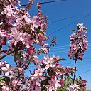 ���� �������, �������� - ��������� 1 ���� 2025 � ������ ���� ����������