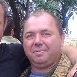 �������, ���������, 53 ����