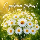 ���� �����, ���� - ��������� 26 �������� 2026 � ������ ������ ��������