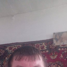  , 41 , 