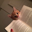 ���� �������, ������� - ��������� 4 ����� 2024 � ������ ���� ����������