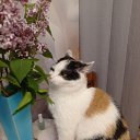 ���� ������, ���������� - ��������� 2 ���� 2026 � ������ ���� ����������