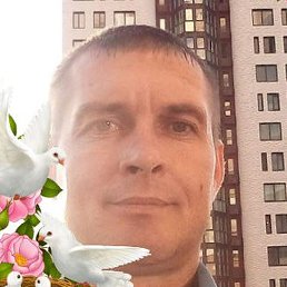 �����, �����, 43 ����