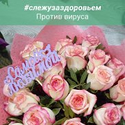 ����, 33 ����, ���������