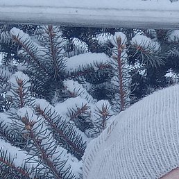 �������, ������, 65 ���