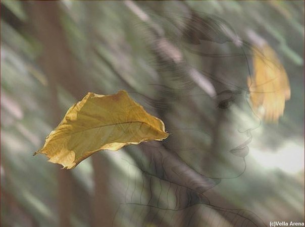 ����� ��� ������ � ������, ����, ������ ����� ��� ��������, ����� ������� ��������� �����, ������ � ...