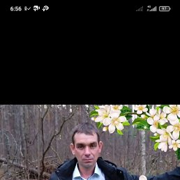 �����, 36 ���, ������